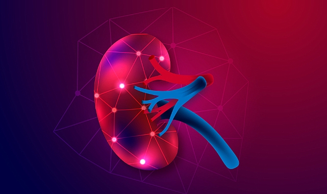 Yarım milyon kişi Hepatit C taşıdığını bilmiyor