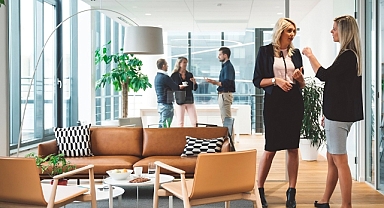 Çevreci ofis dekorasyon maliyetini 180 euro artırdı